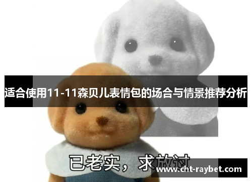 适合使用11-11森贝儿表情包的场合与情景推荐分析