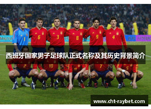 西班牙国家男子足球队正式名称及其历史背景简介